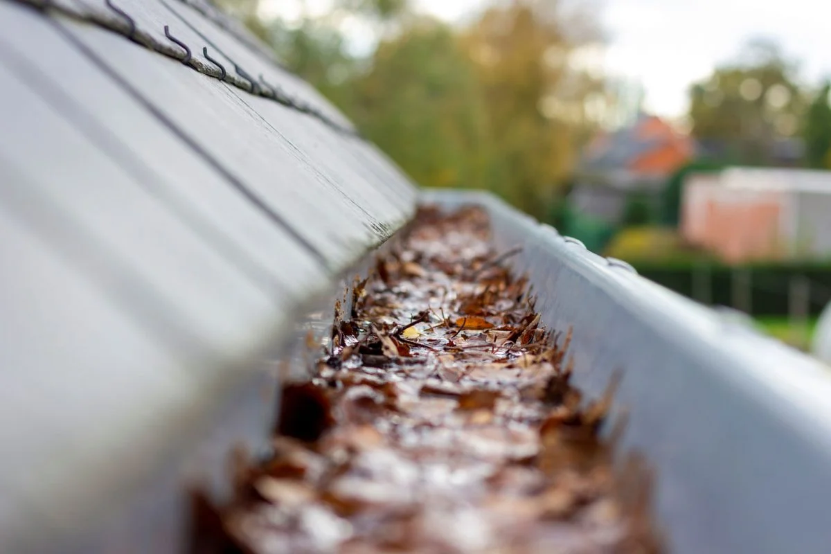Gutter cleaning service