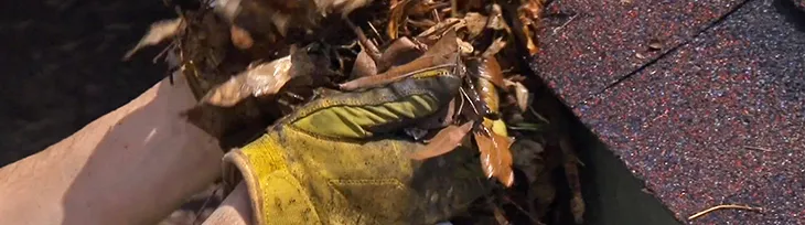 Gutter cleaning